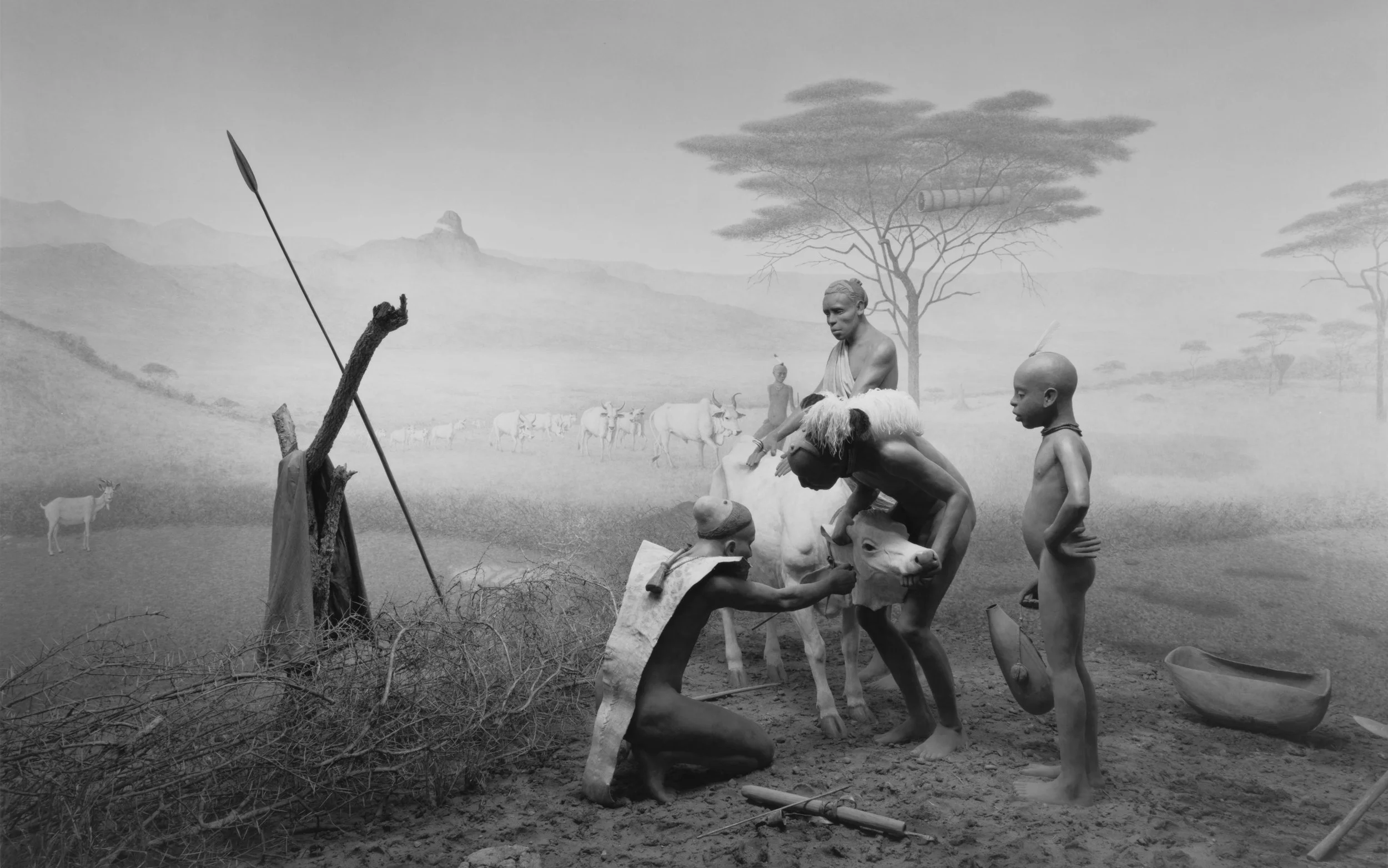 Hiroshi Sugimoto: Extinction | Tokyo National Museum of Modern Art 