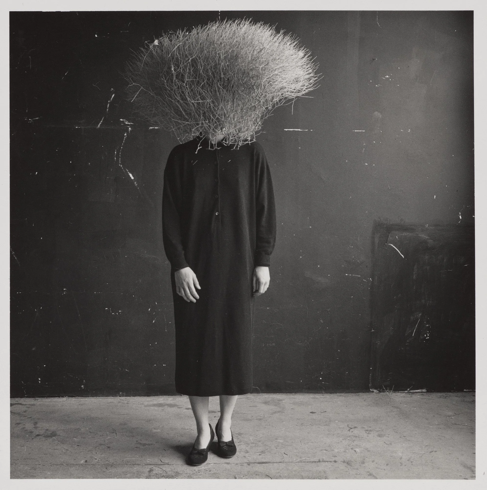 The Picture Is Still　Ann Hamilton Ann Hamilton: still and moving • the tactile image ✨ Where am I