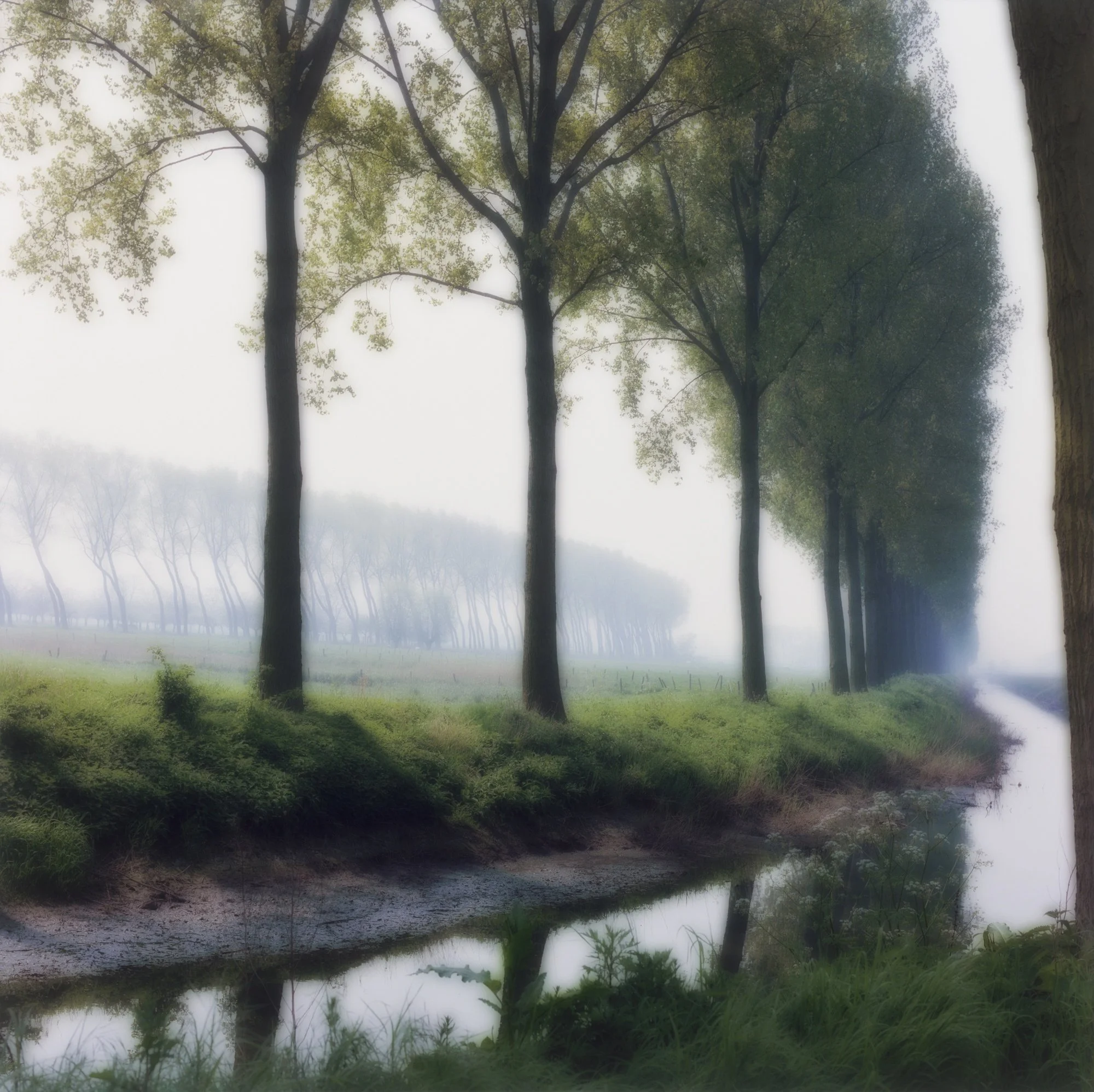 Lynn Geesaman | Yancey Richardson Gallery — Musée Magazine