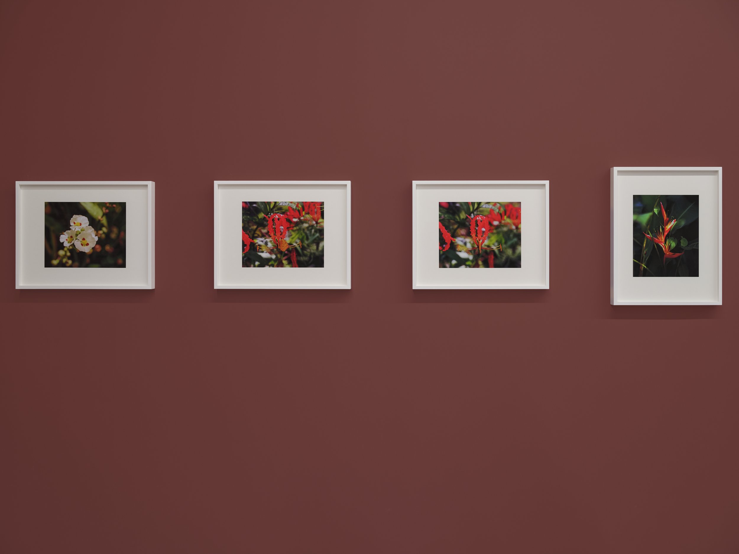 Steve McQueen: Cinematic Memory and Colonial Landscapes at Dia Chelsea ...