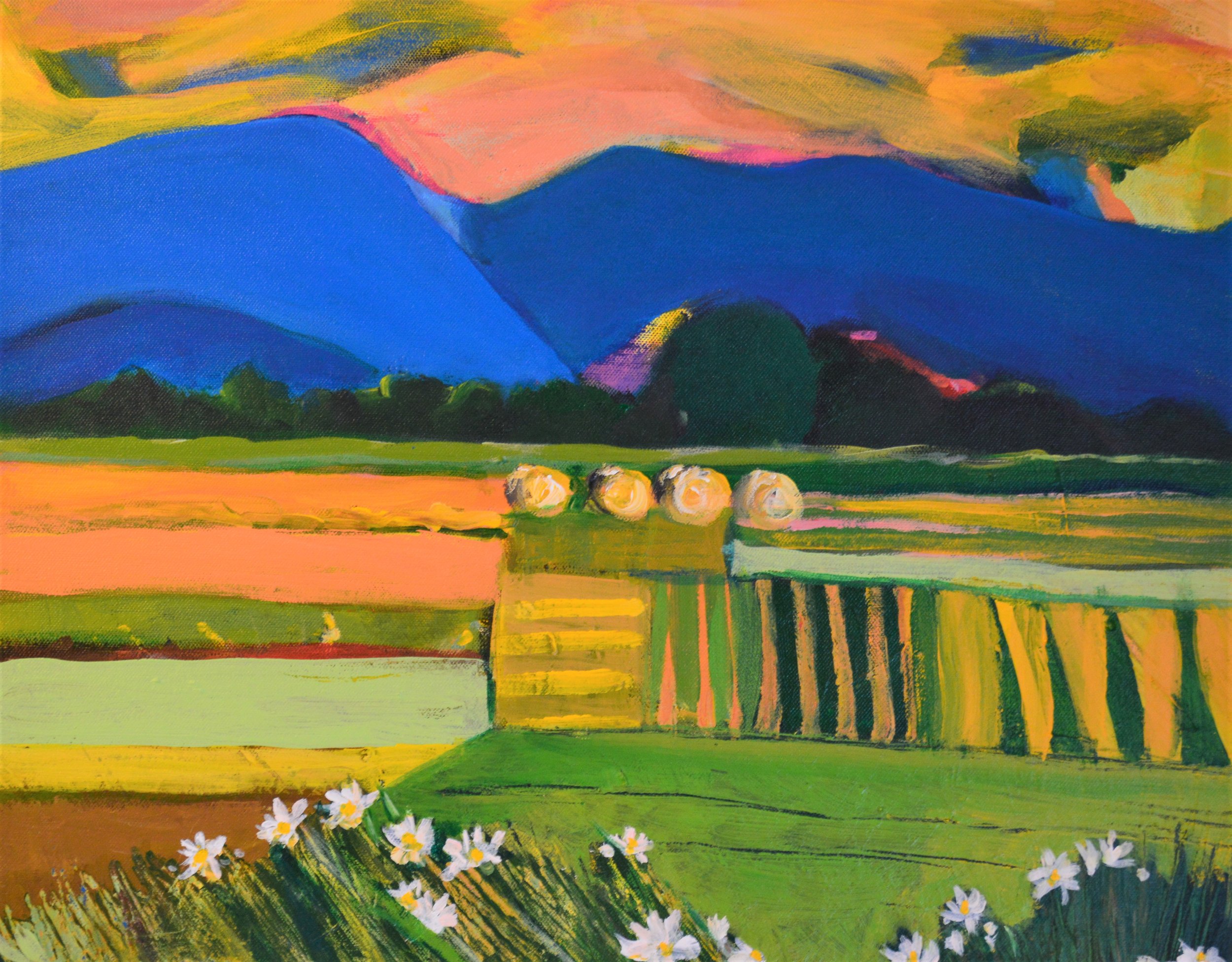 Fields and Blue Mountains