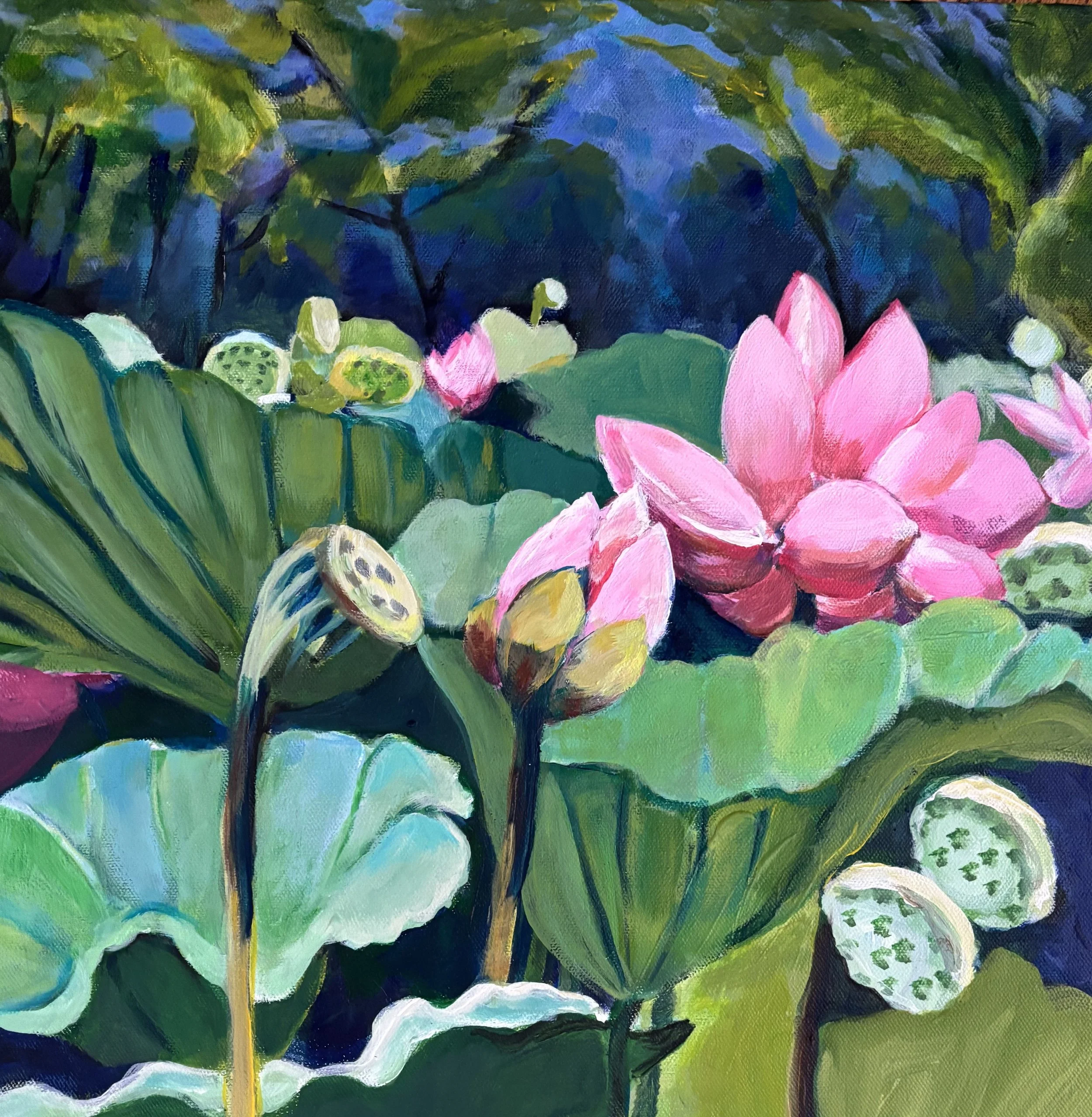 Lily Pads 1