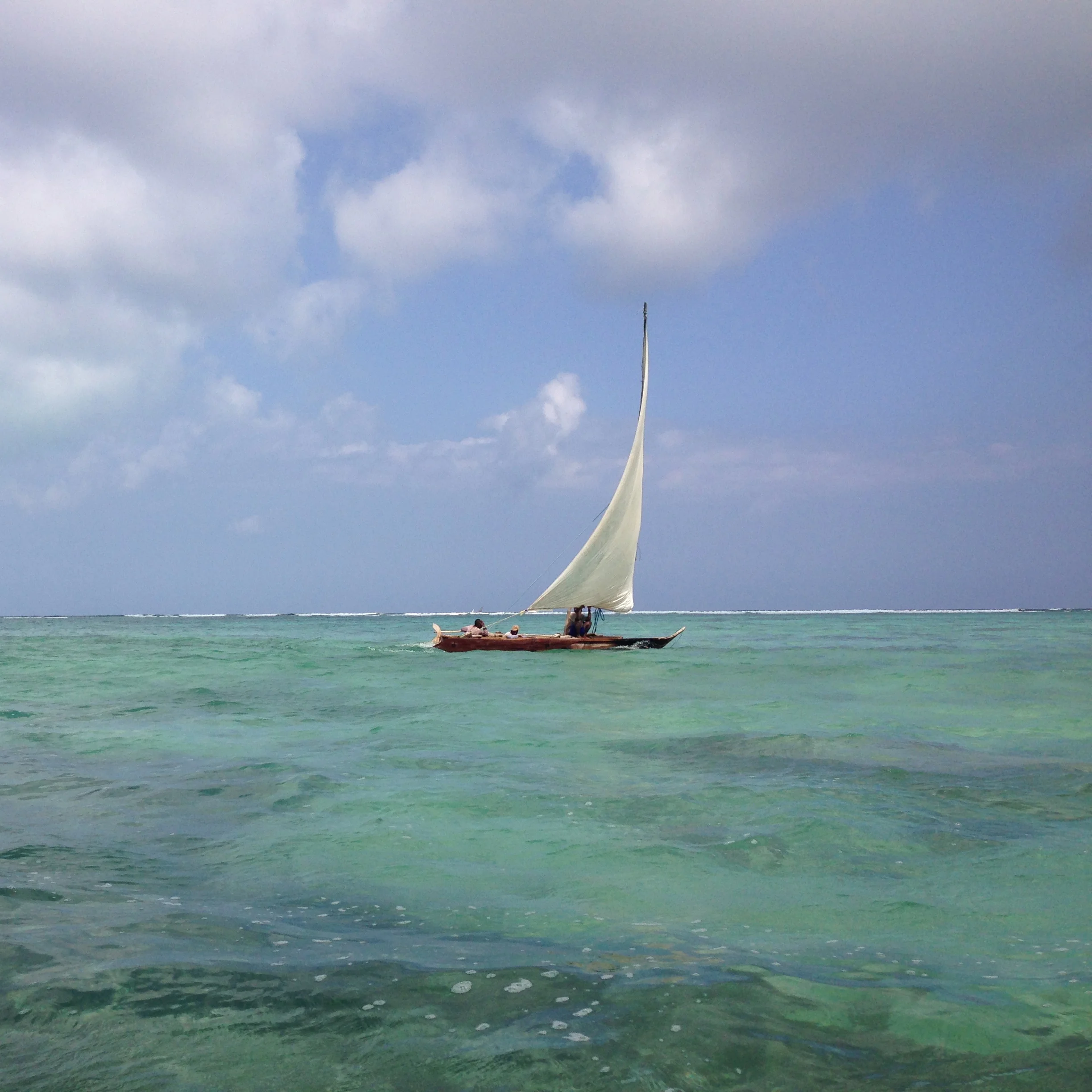 IMG_5848.jpg
