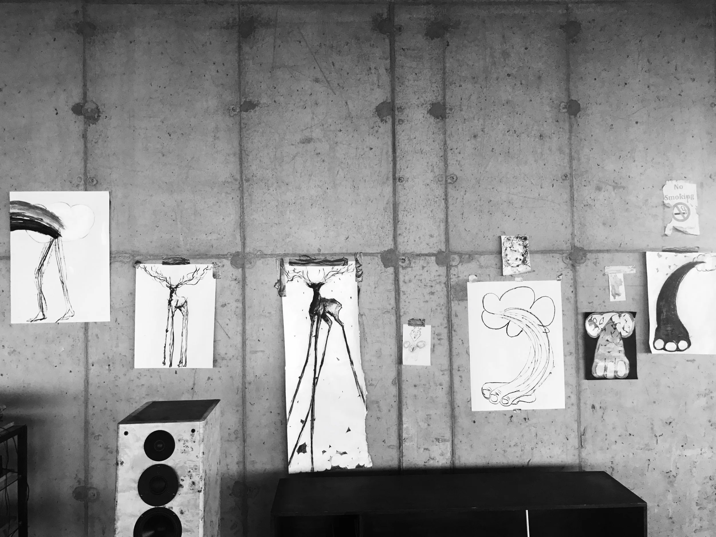 Studio view August 2017