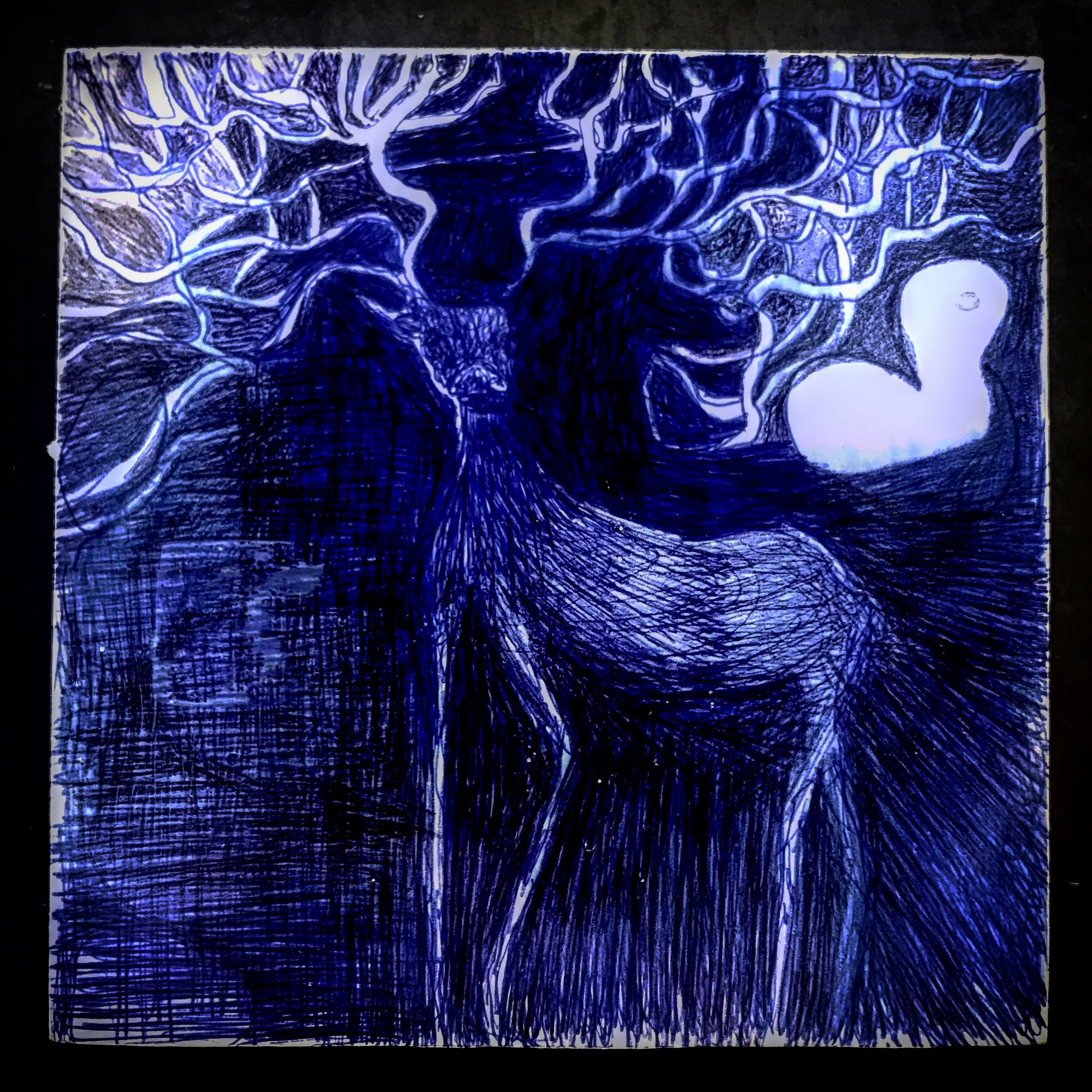 Drag Stag no. 4
