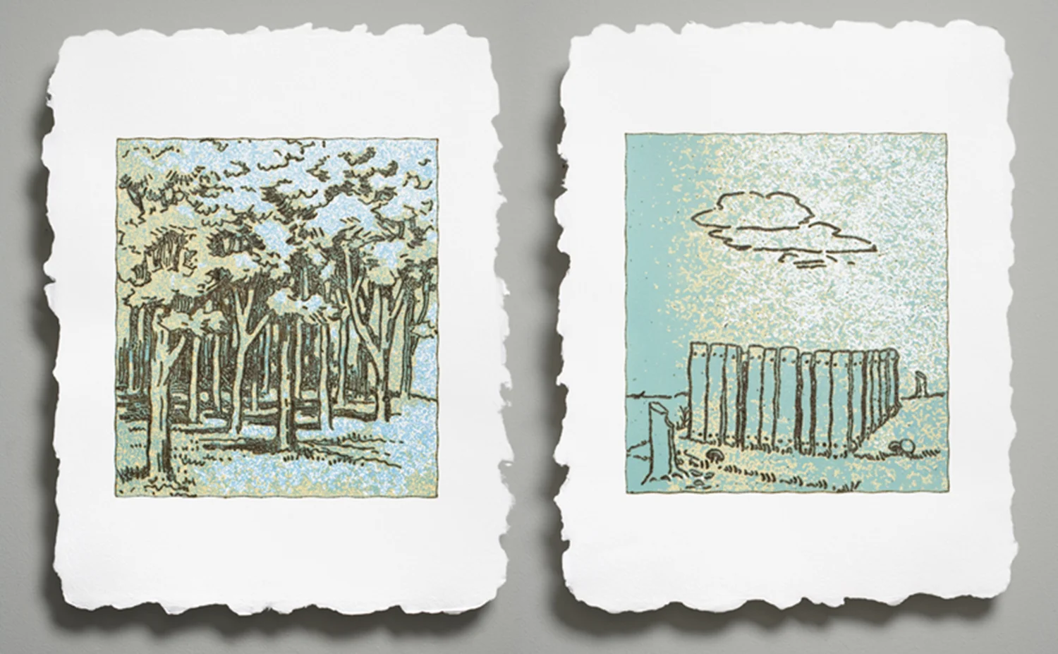 7. Woods and Fence.jpg