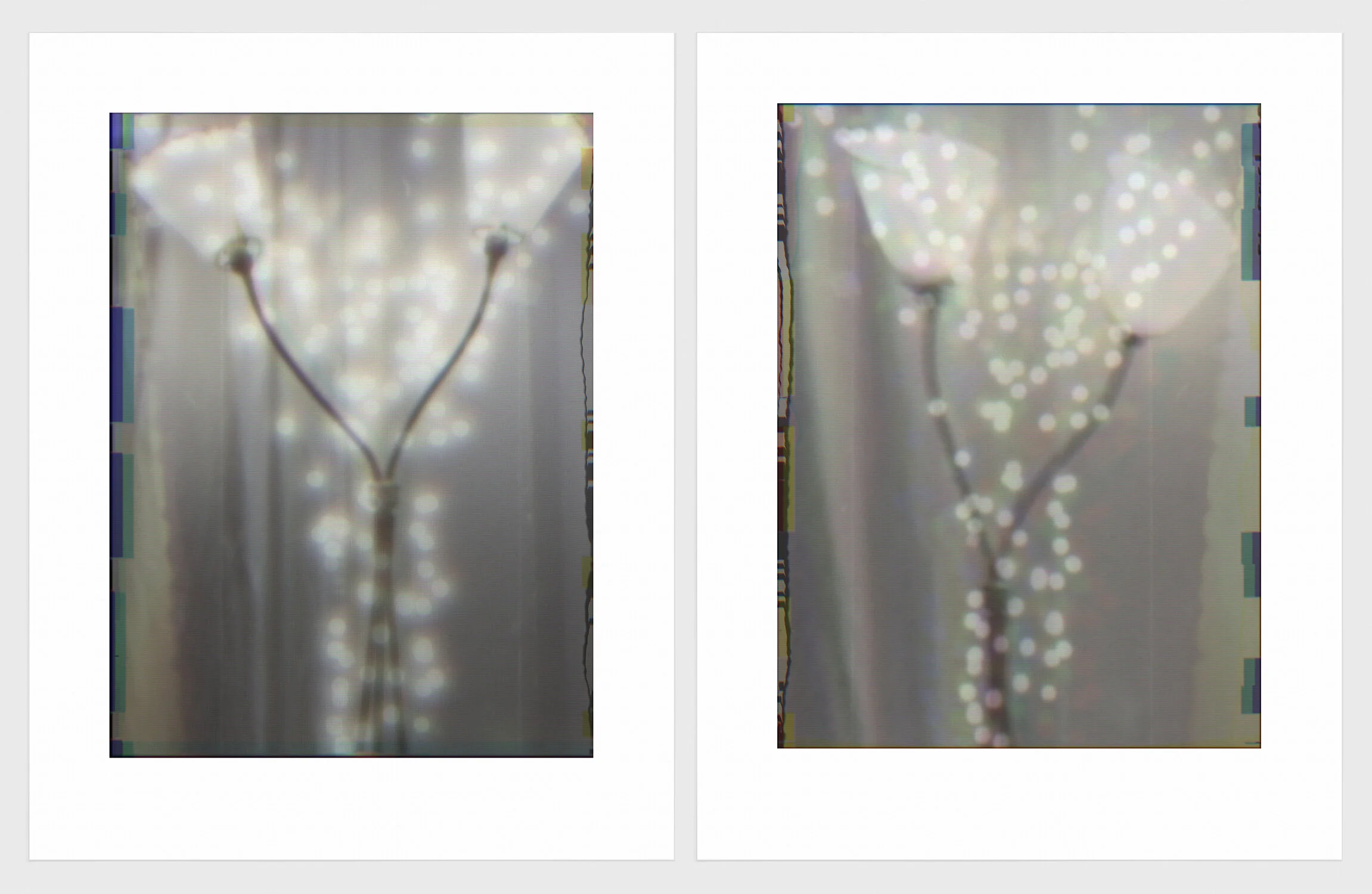 624 a. + b. Two Lamp Shades copy.jpg