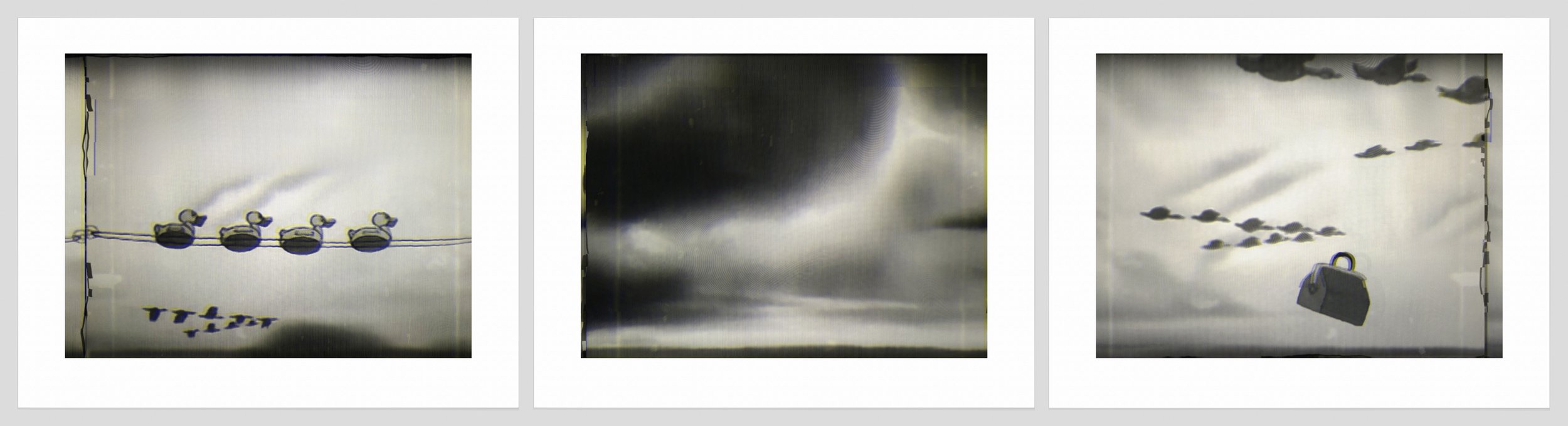 1047 a, b, c. Ducklings, Black Sky, Baggage photo copy.jpg