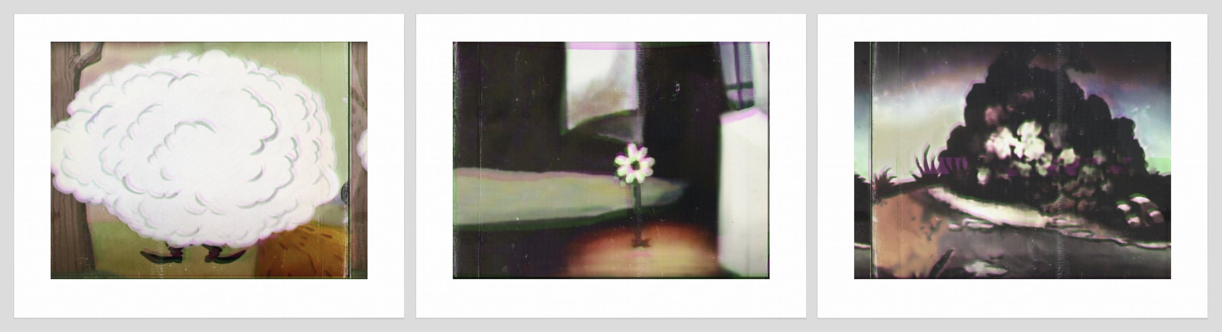 1052 a, b, c. White Cloud, Flower, Dark Bush photo copy.jpg