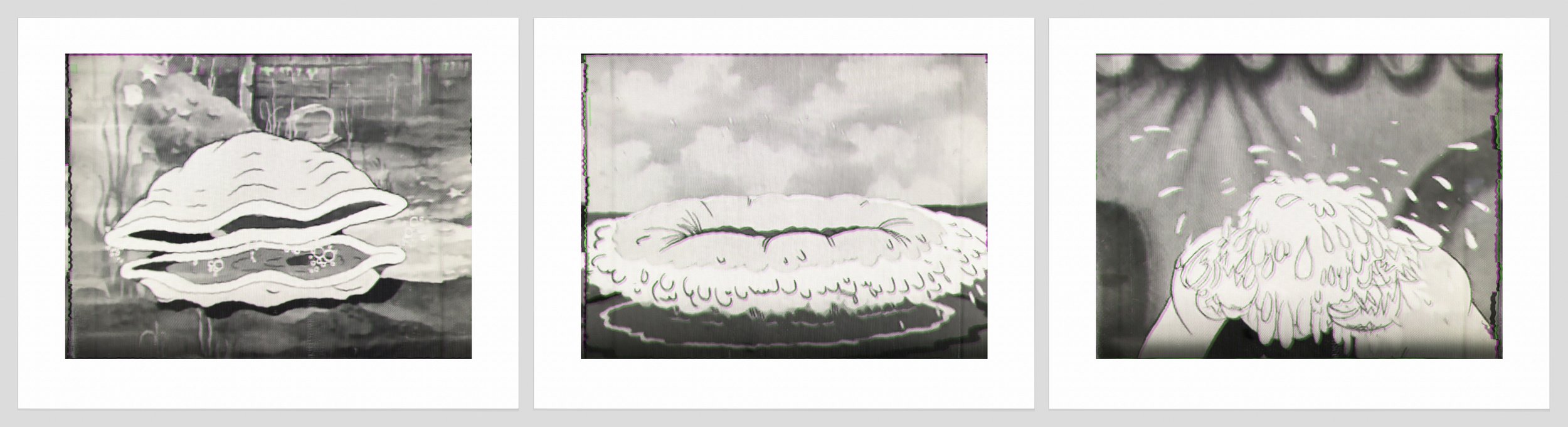 1063 a, b, c. Oyester, Ocean Splash, Wet Head photo copy.jpg