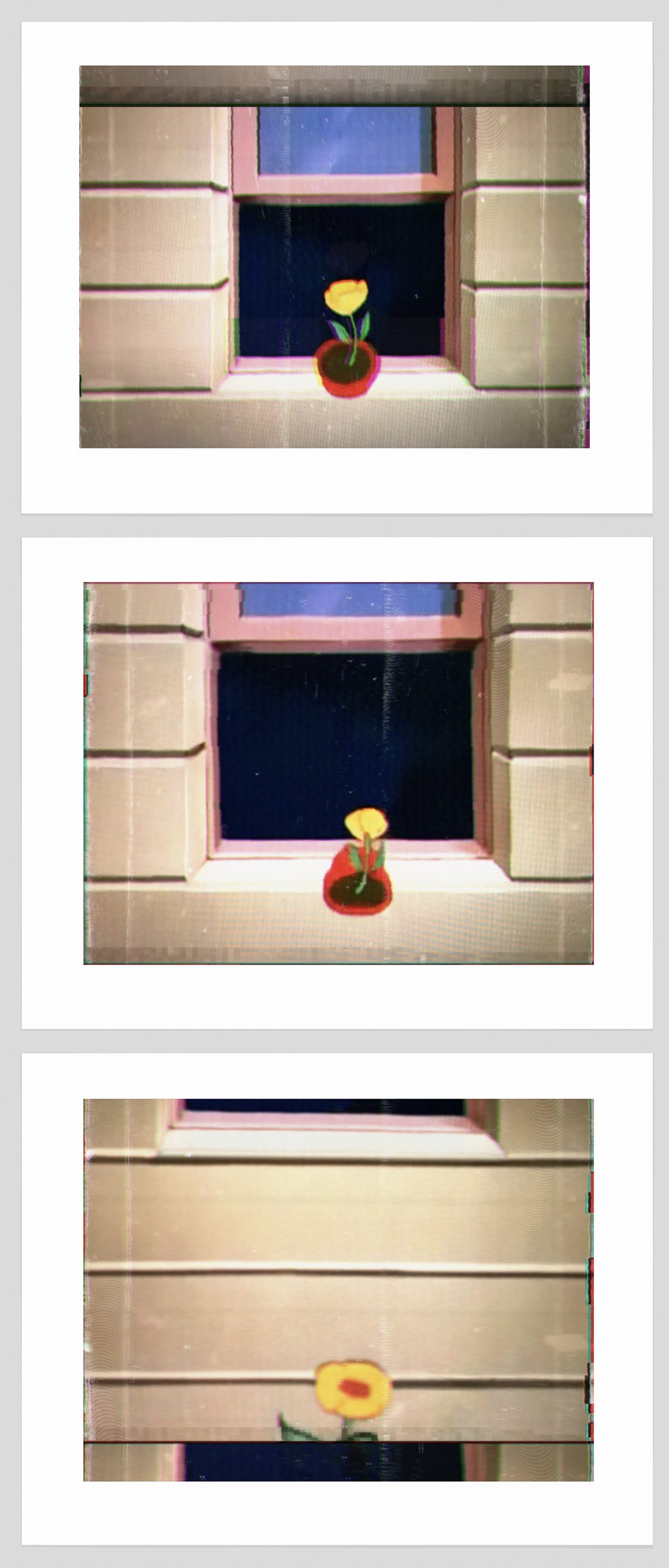 1074 a, b, c. Falling Flower Pot copy.jpg