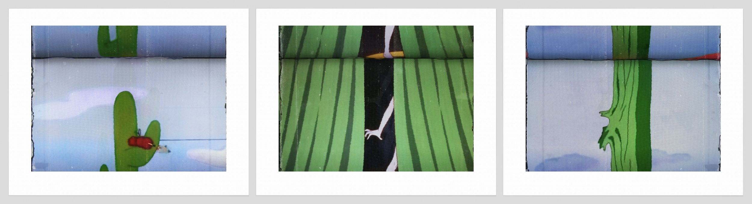 1086 a, b, c. Green Cactus + Curtain.jpg