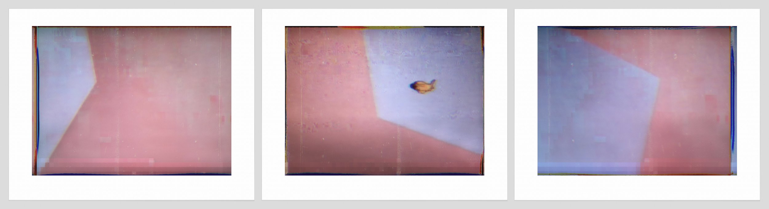 1208 a, b, c. Pink Shapes + Goldfish.jpg