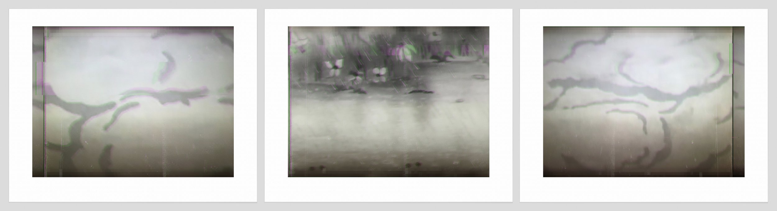 1237 a, b, c. White Blasts + Flowers.jpg