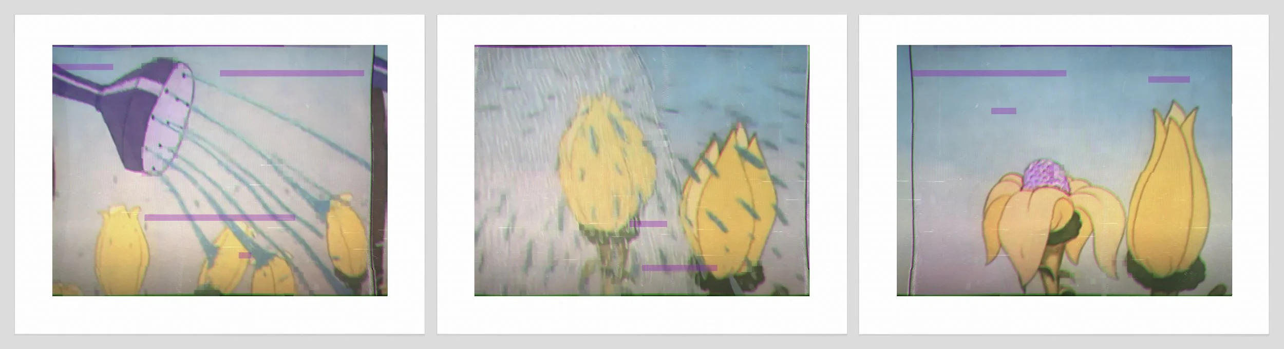 1421 a, b, c. Watering Can.jpg