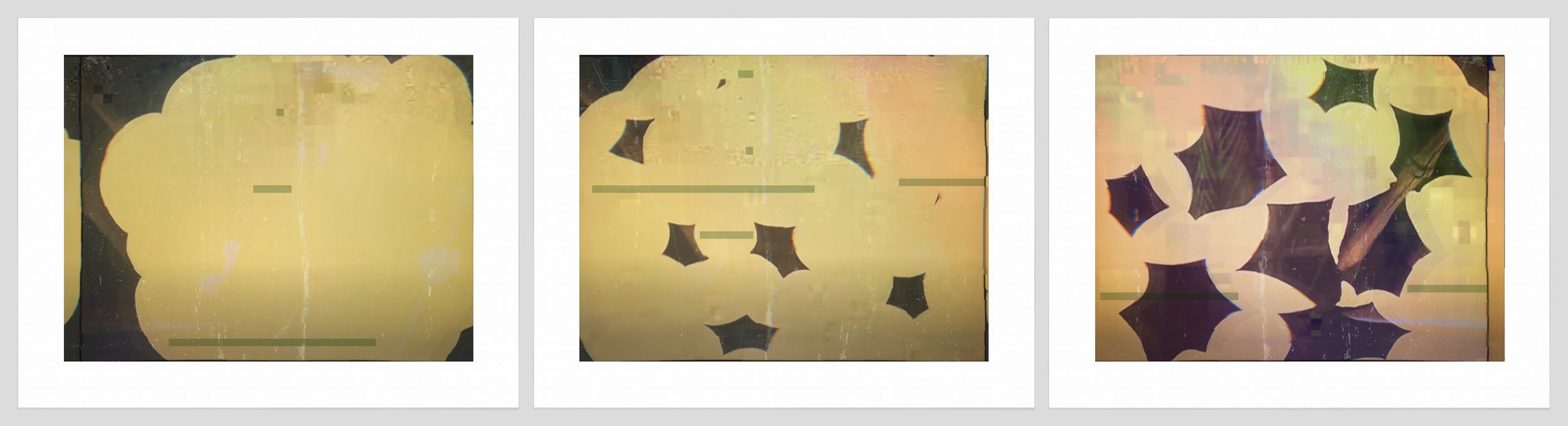 1424 a, b, c. Yellow Clouds.jpg