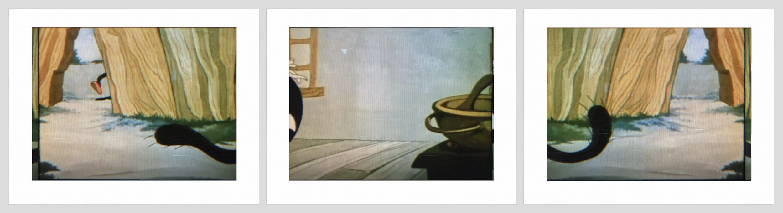 1501 a, b, c. Cat Tail.jpg