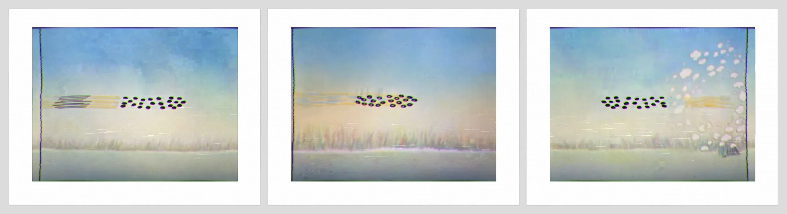 1474 a, b, c. Buckshot copy.jpg