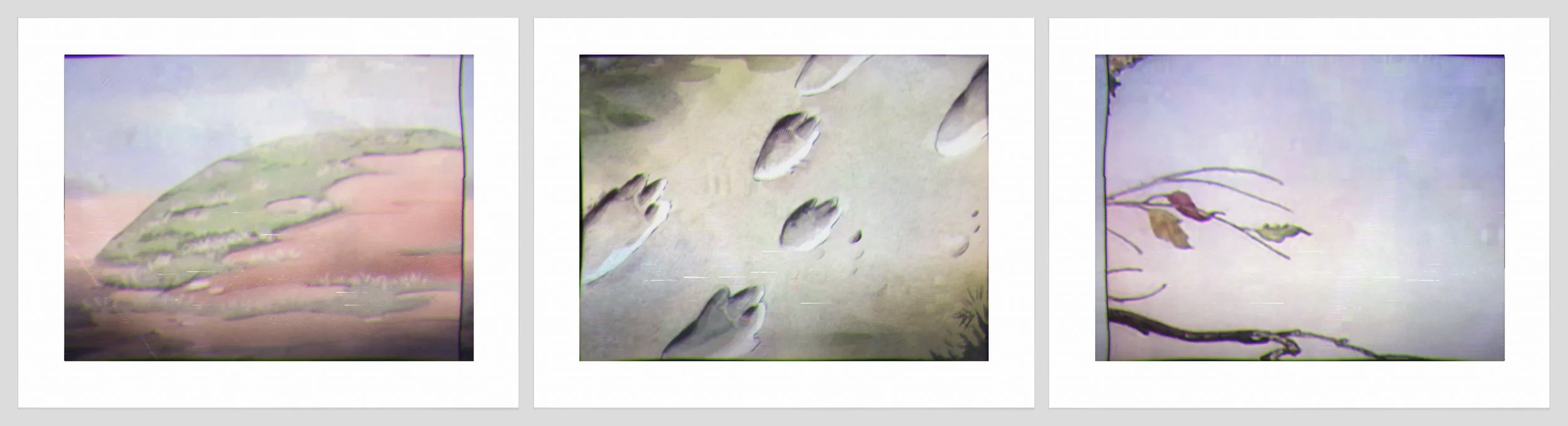 1469 a. b, c. Bear Tracks.jpg