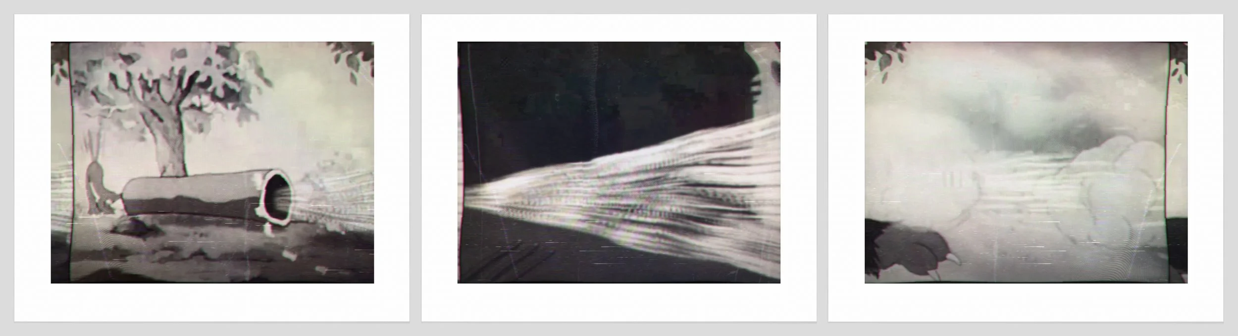 1518 a, b, c. Log + Paw.jpg