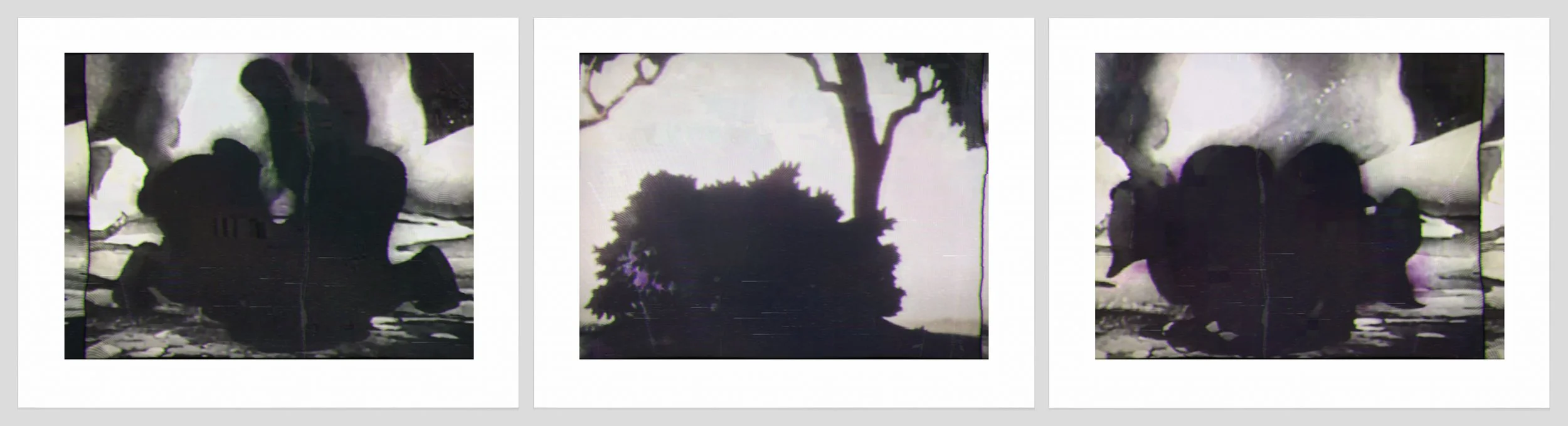 1530 a, b, c. Shadow Fights.jpg