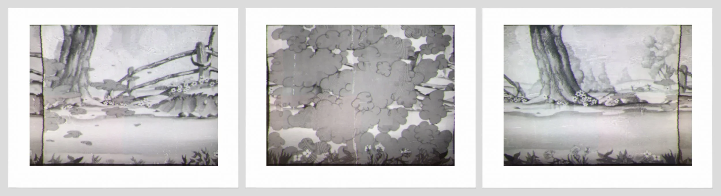 1540 a. b, c. Flowers + Smoke.jpg