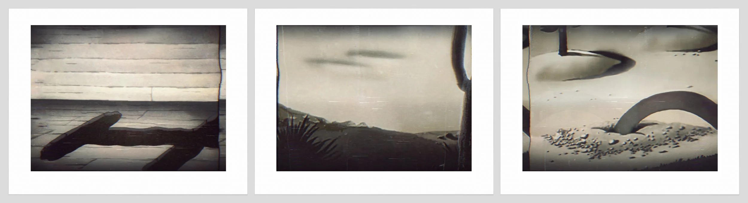 1554 a, b, c. Trench, Desert, Sprout.jpg