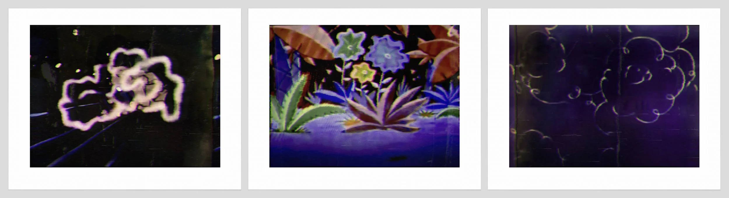 1598  a. b, c. Aura + Flowers.jpg