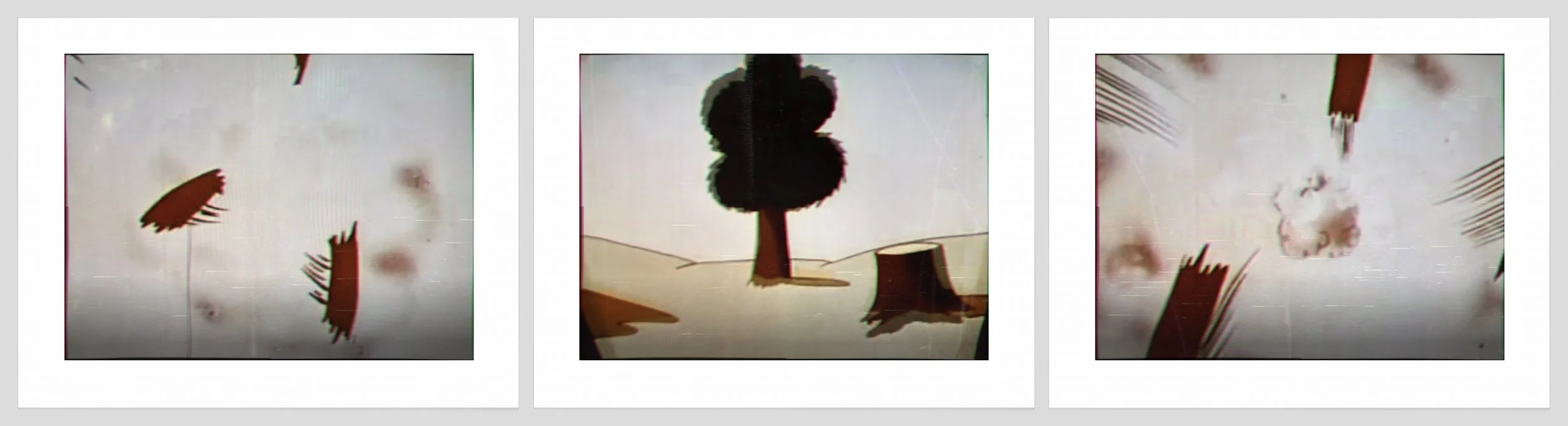 1644 a, b, c. Splinters + Tree Trunks.jpg