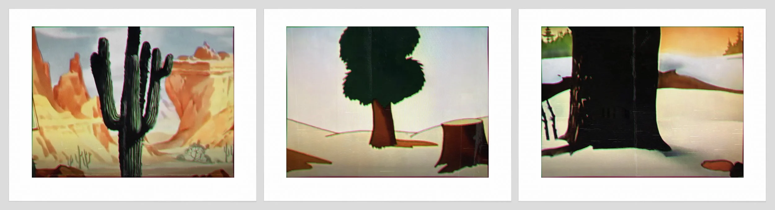 1655 a, b, c. Cactus, Stump, Trunk copy.jpg