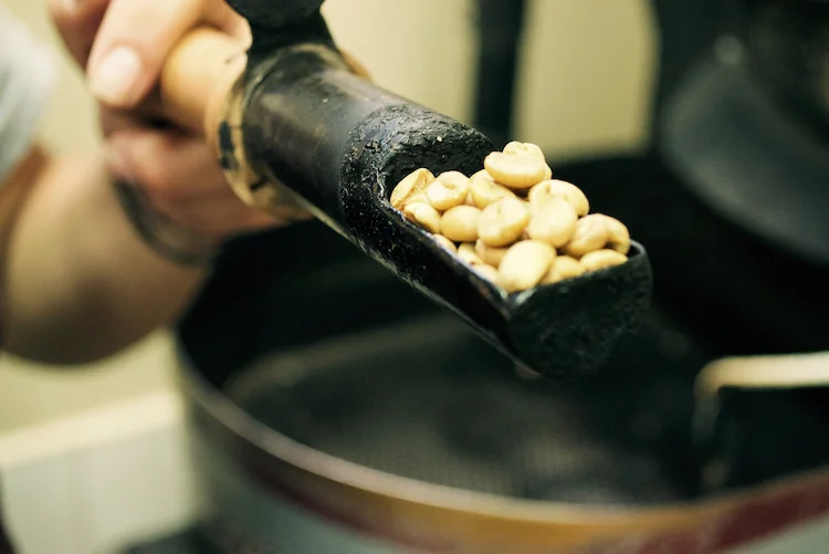 Drying Phase Coffee Roasting.jpg