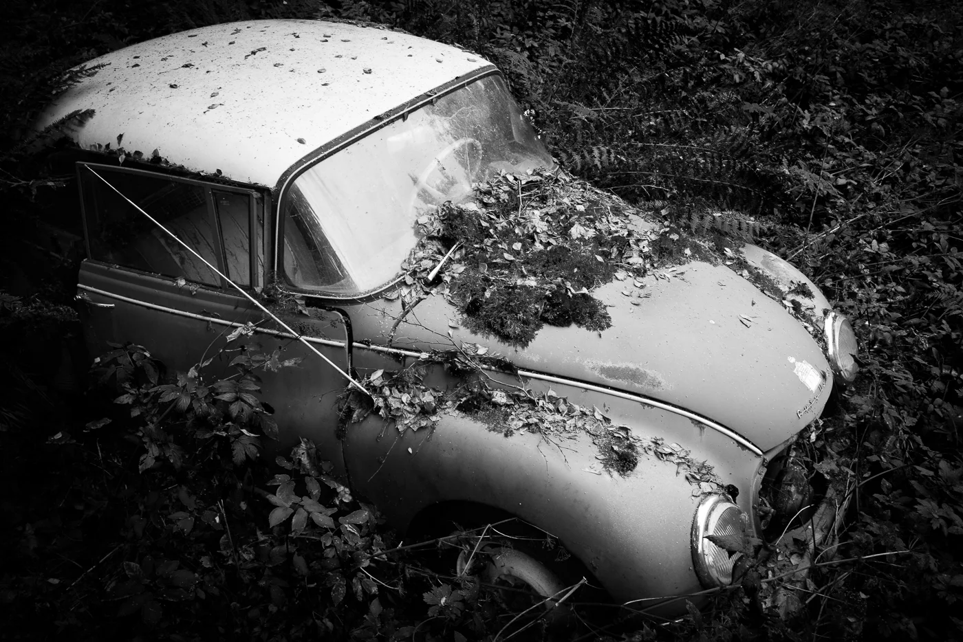 DSC_7159.jpg