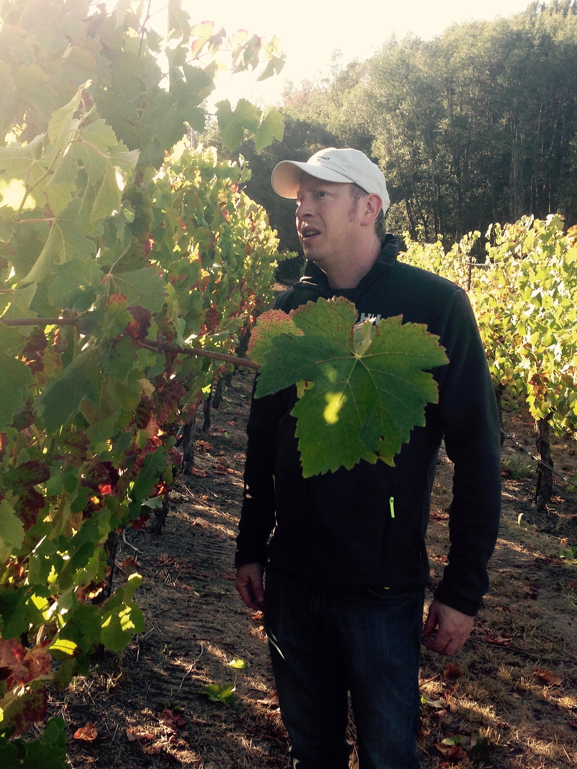 Jake Krausz, C.S. Co-Founder / Producer Estate Director of Arkenstone Vineyards - producing highly rated reds and whites from premium Howell Mountain fruit - Jake turned his passion for quality & his refined palate toward the pursuit of a rosé that can stand with and next to California's great wines. Contact: jake@ambwine.com