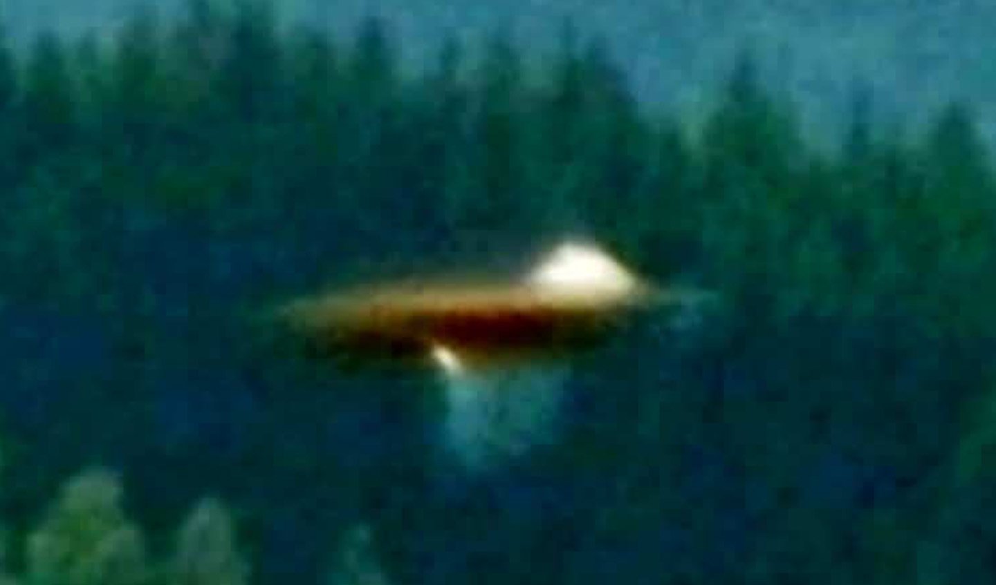 banner 2 cropped.jpg
