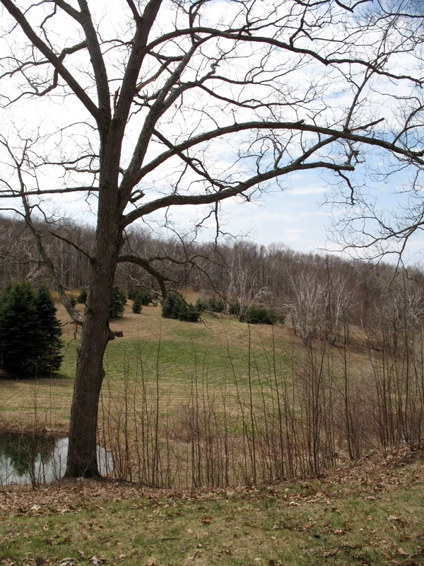 copake 07.jpg