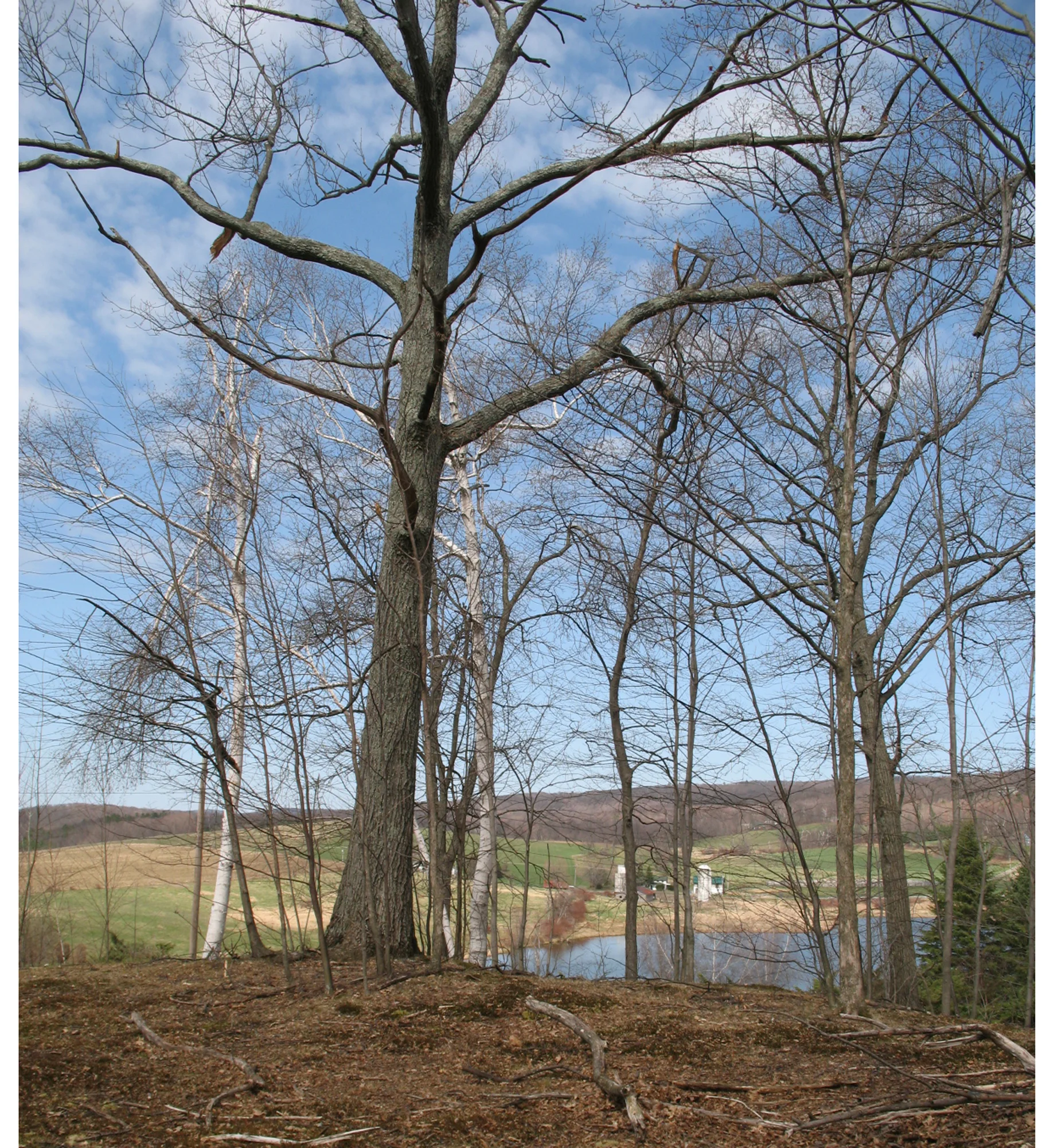 copake 13.jpg
