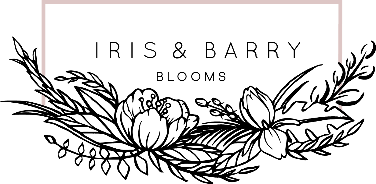 Color 1_No Background.png