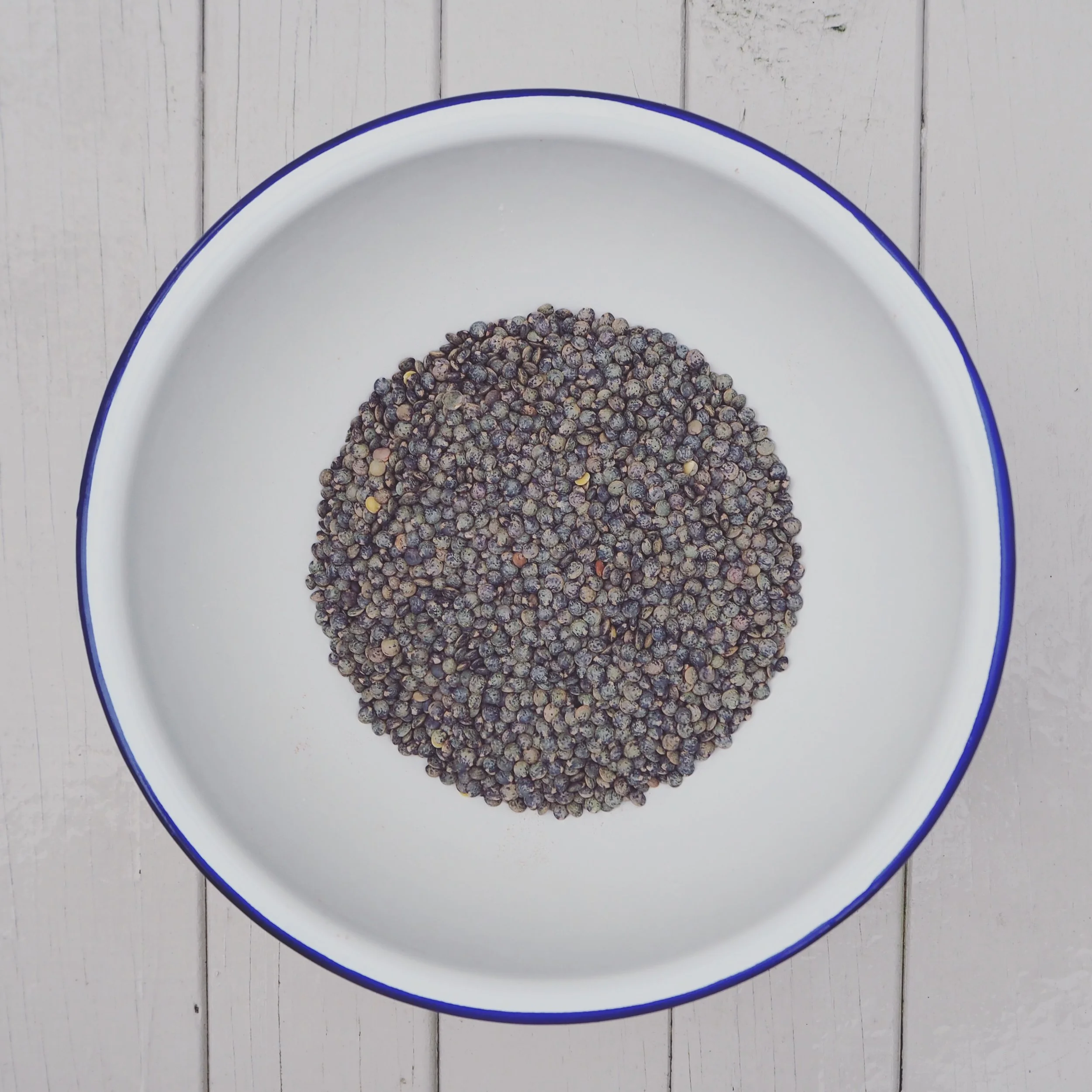 French green lentils (from The Behaviour Beet )