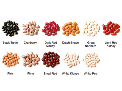 Bean Types. Photo by Pulse Canada. 