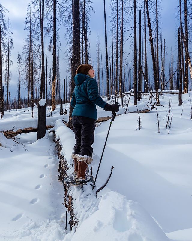 Always in AWE of my backyard. A few weekends ago Chris and I explored the 2015 burn area near Medicine Lake and he captured this shot. ❄️ ❄️
&mdash;
Pretty cool to see the snow blanket the burnt landscape as if it was just always this way...🔥
&mdash