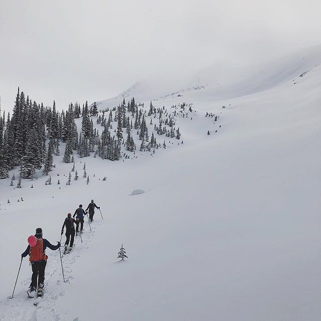 Trekking up, and up! But look at that snow waiting at the top 😍
&mdash;
Fueling properly is what keeps me from &lsquo;bonking&rsquo;. Easy, energy dense treats every 20 minutes or so is my go to. Things like almond stuffed dates, oatmeal cookies, an