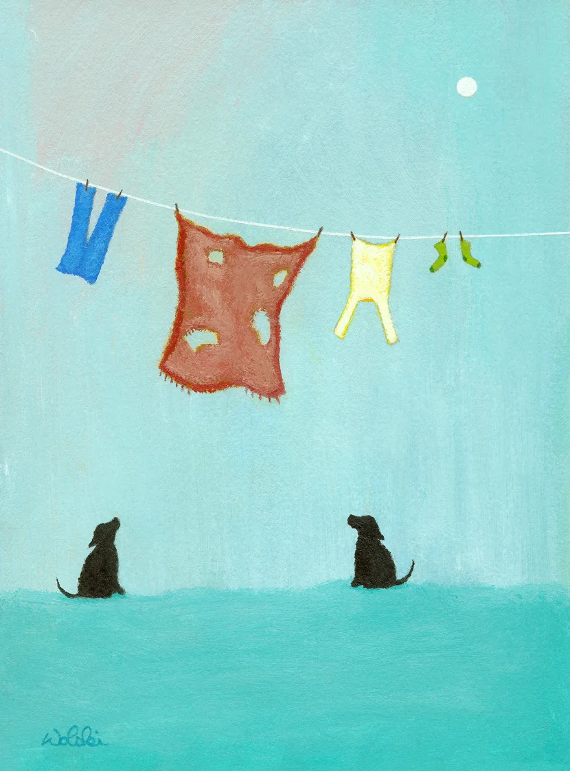 website-Dog Blanket.jpg