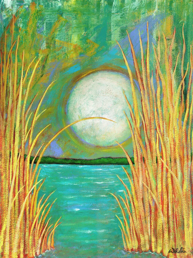 web-A Duck's View.jpg