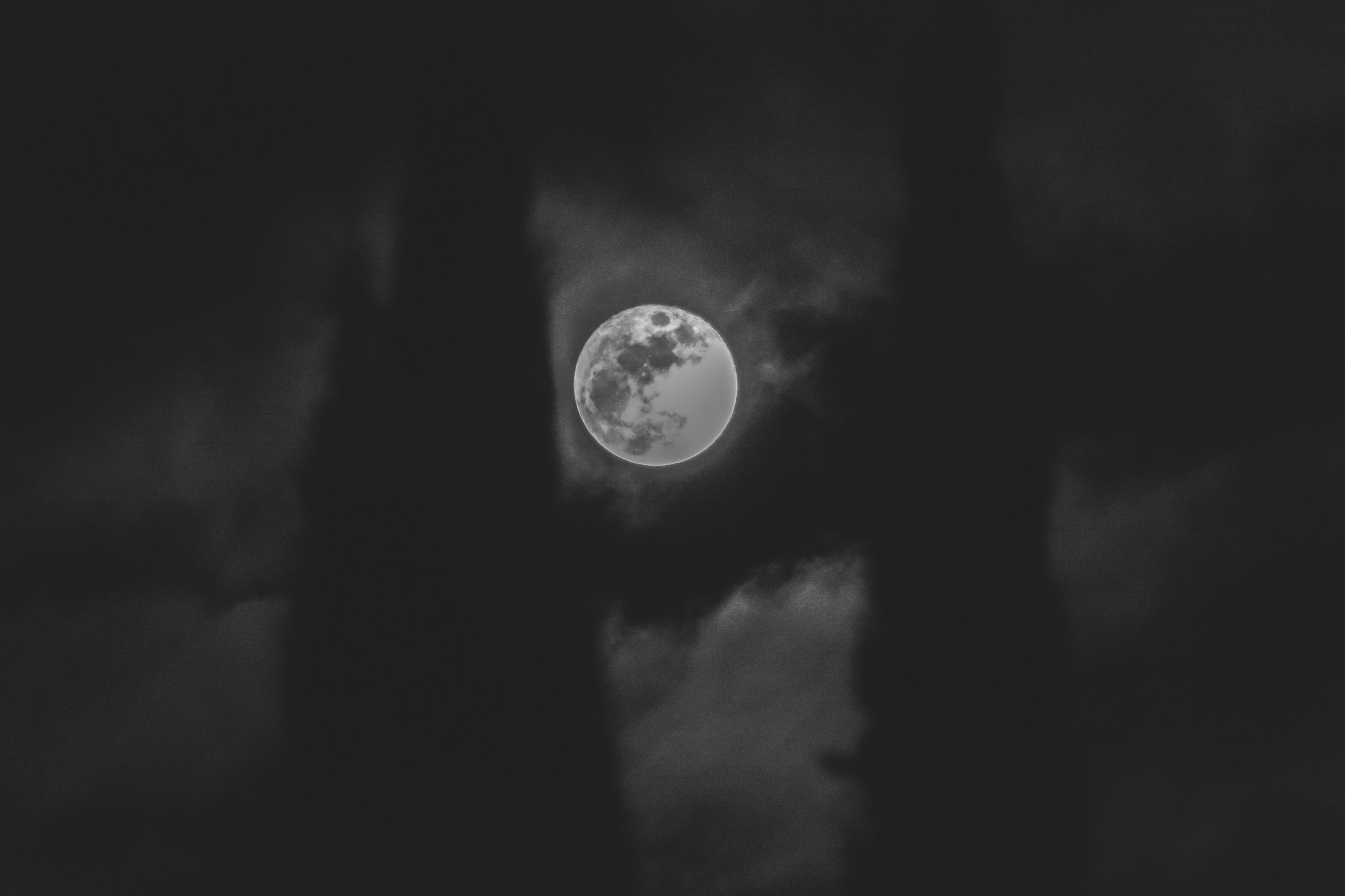the wolf moon-6.jpg