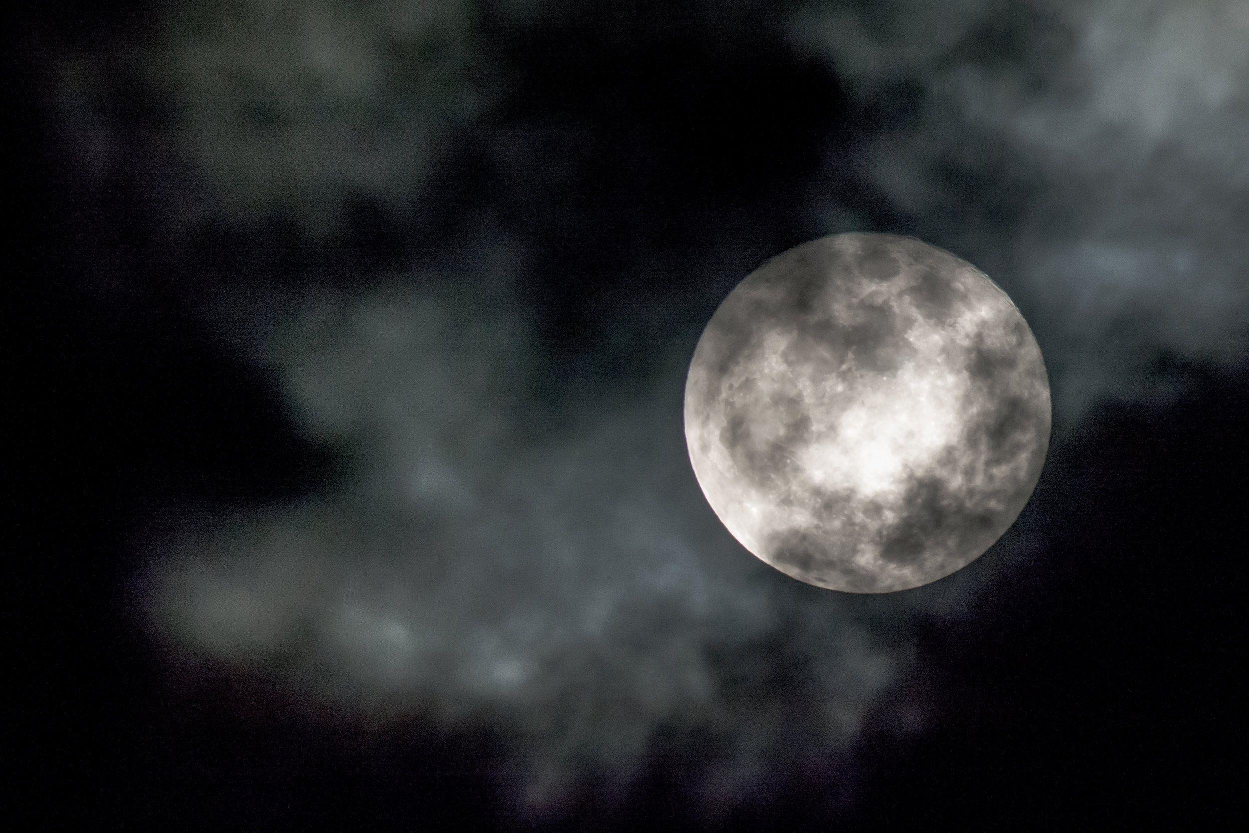 the wolf moon.jpg