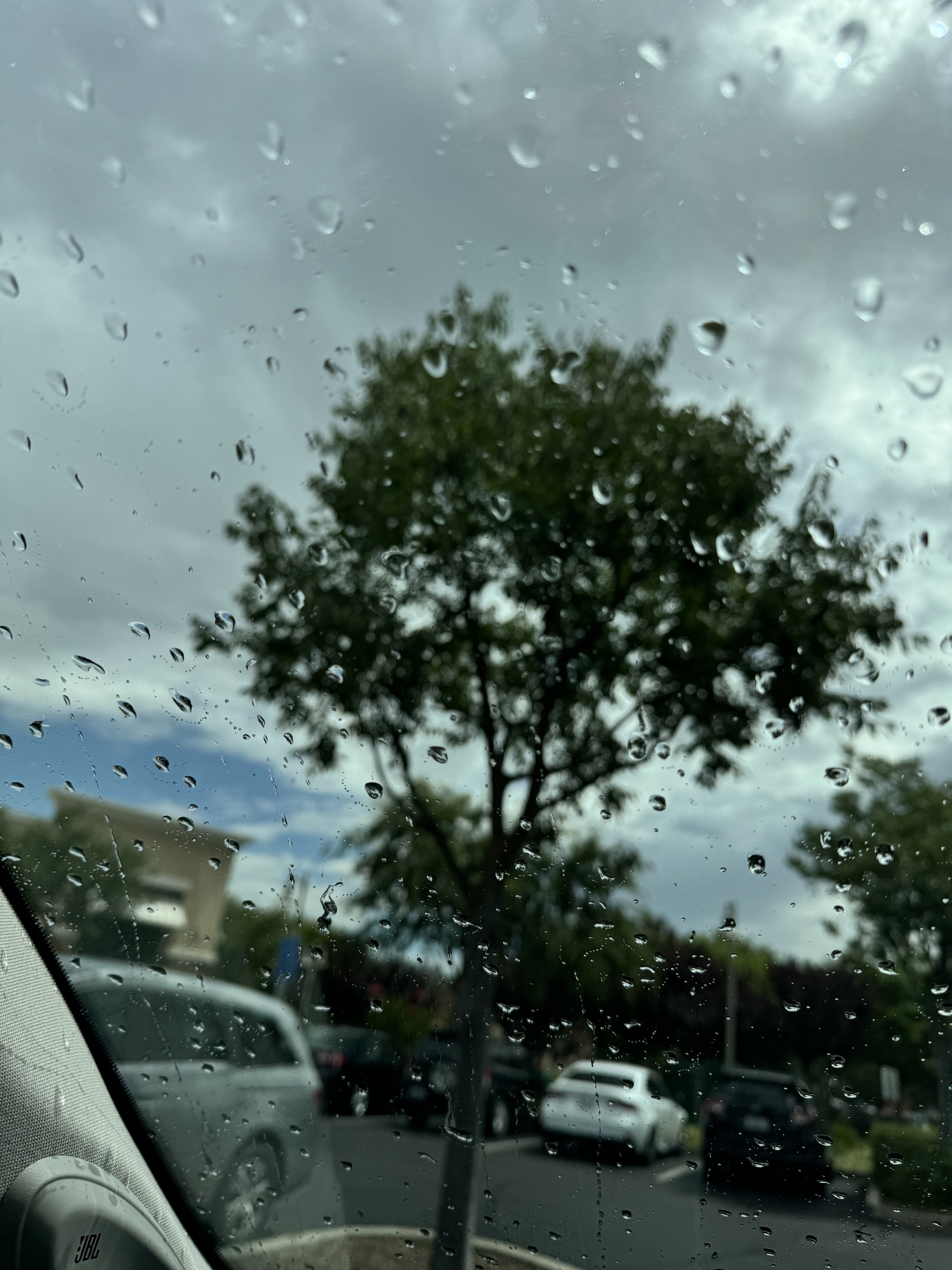 IMG_8638.jpeg