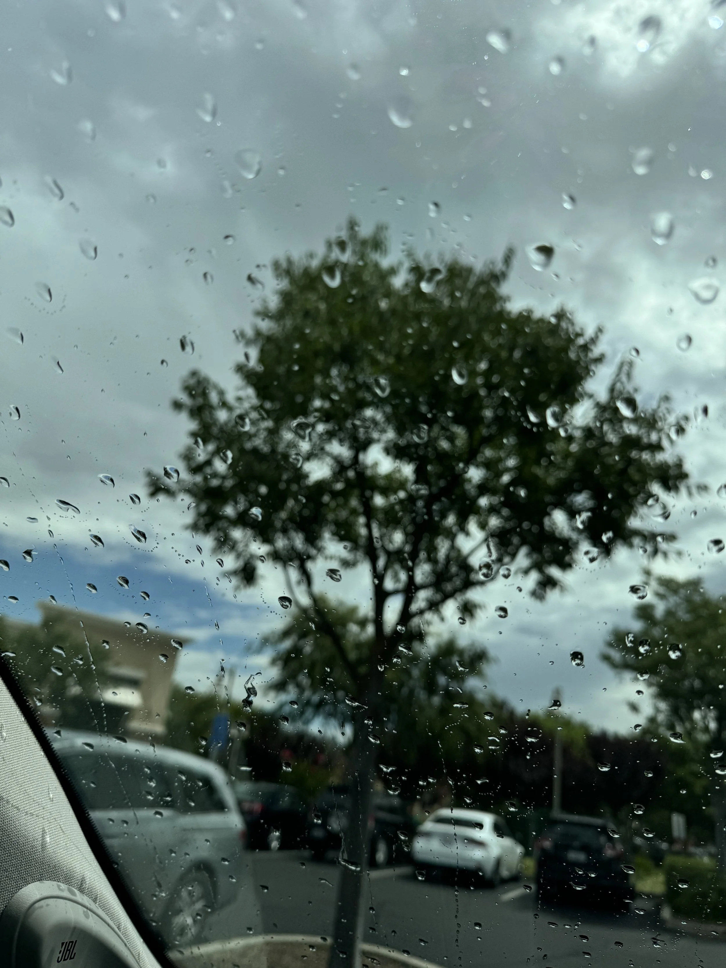 Reflections on a Cloudy June Day