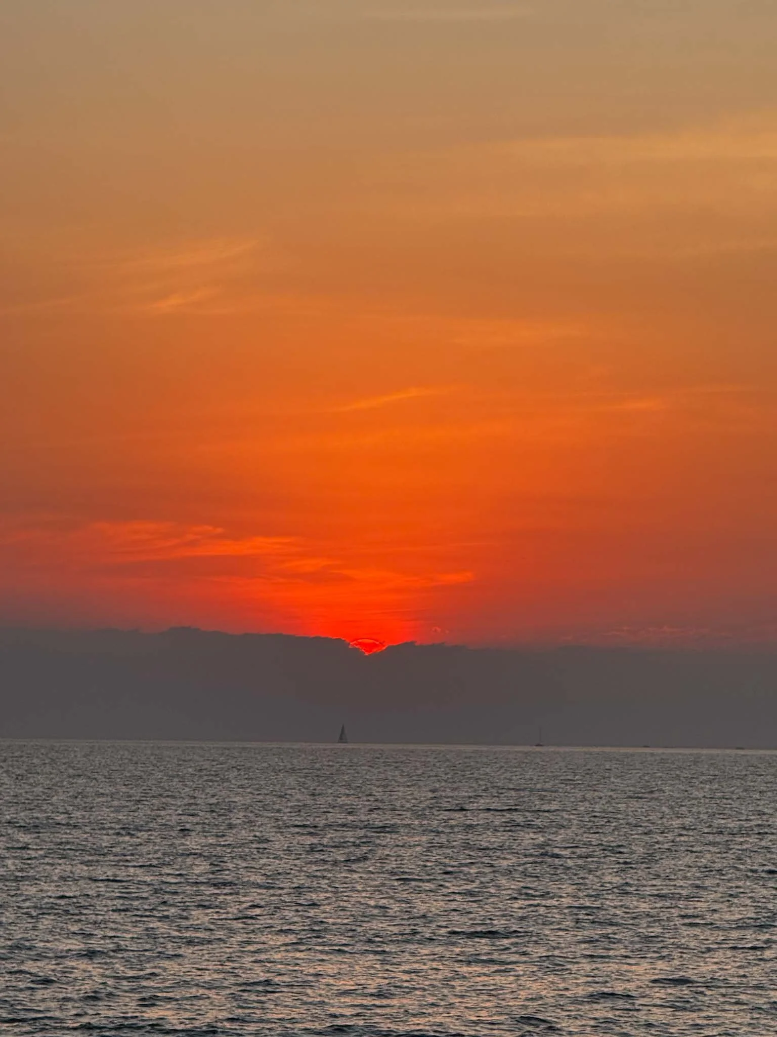 IMG_1463.jpg