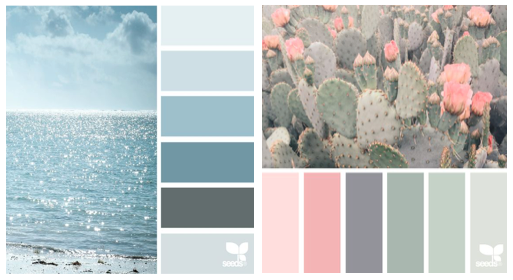 designseeds.com