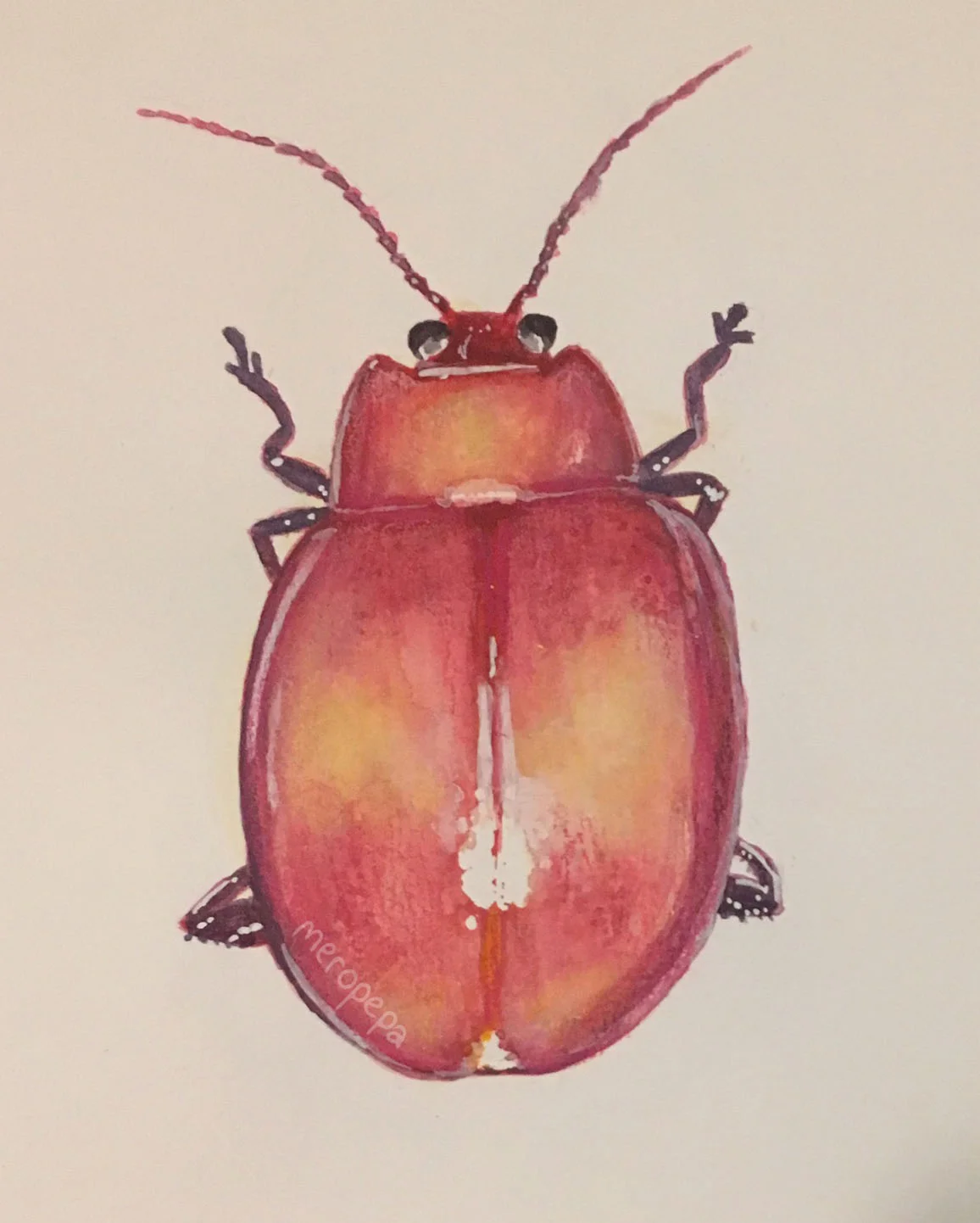 "Beetle" | Watercolor and gouache on Moleskine watercolor sketchbook
